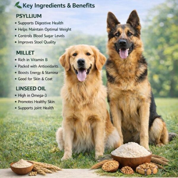 Dog Feed Megamucilfeeds Tandurast Manufacturer Exporter Supplier Producer Cattle Pet Feed Siddhpur Gujarat India