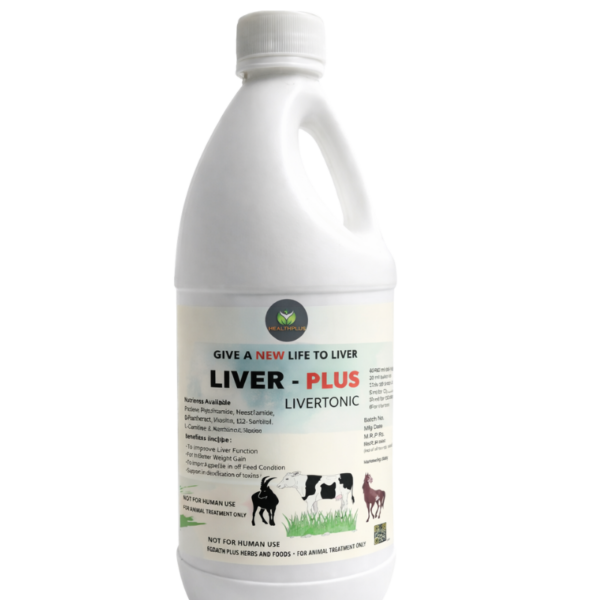 Liver Tonic Megamucilfeeds Tandurast Manufacturer Exporter Supplier Producer Cattle Feed Siddhpur Gujarat India (2)